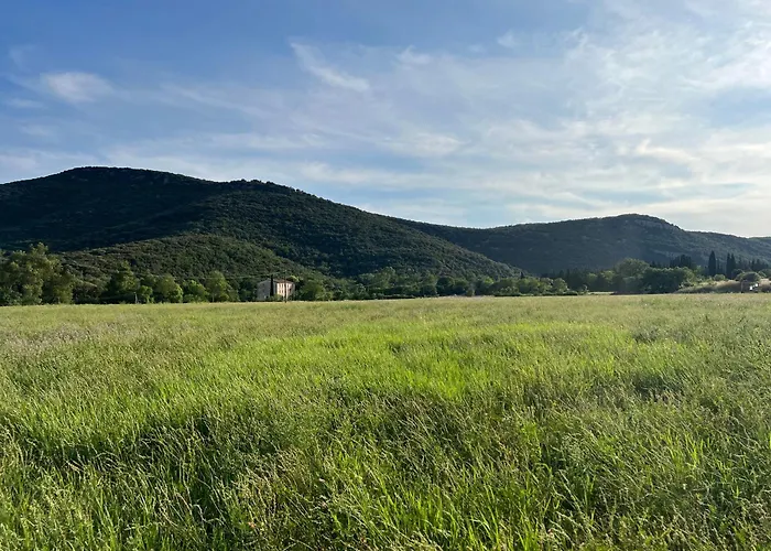 Mas Grenadine, Magnifique Du Piemont Cevenol *
